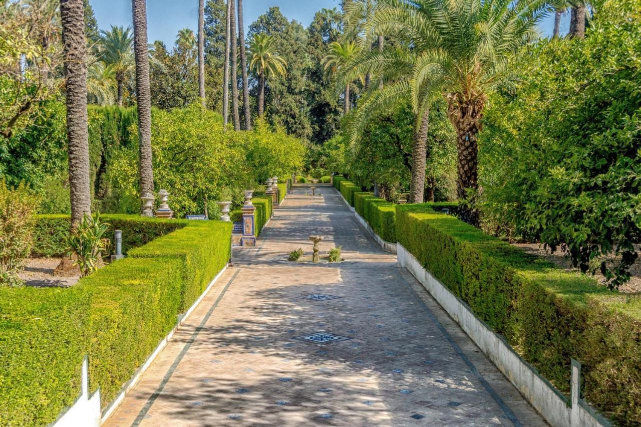 Canarios Sweet Home Sevilla Eksteriør bilde